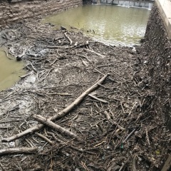 Debris in South Plant flume