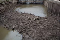 Debris in South Plant flume
